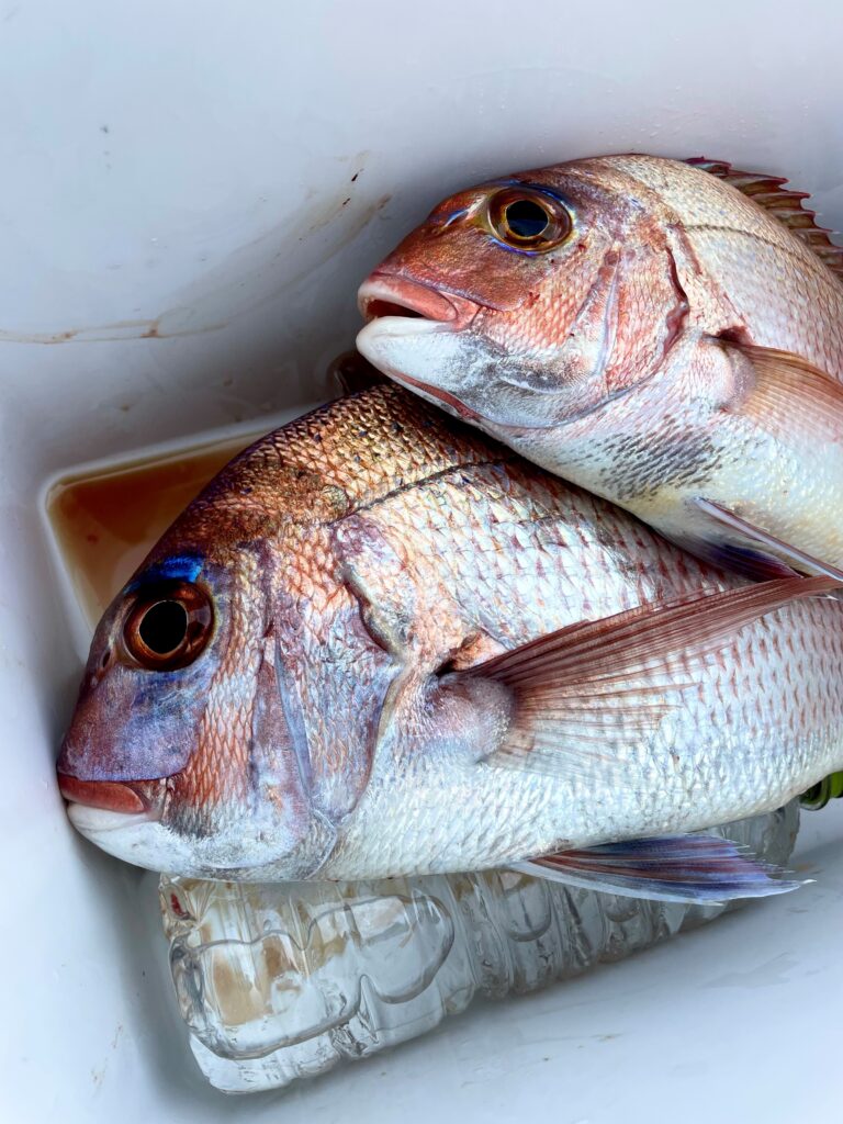 マグロ釣り他」積丹余別ボートトレーラー日帰り駐車場。4月～11月、利用料1万円！！ - 写真